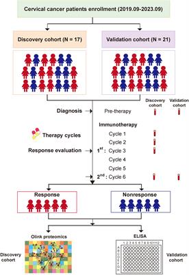 Targeted proteomics-determined multi-biomarker profiles developed classifier for prognosis and immunotherapy responses of advanced cervical cancer